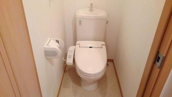 �y�g�C���z�@