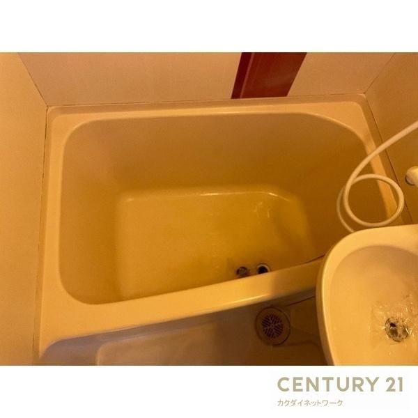 �y�o�X�z�@