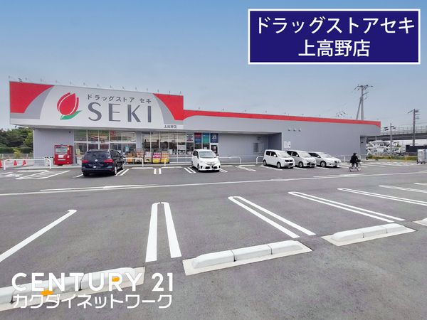 �y���Ӂz�@�h���b�O�X�g�A�Z�L�@�㍂��X�@�k����Z�Z��