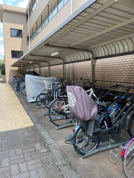 �y���̑����L�����z�@