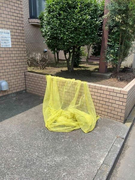 �y���̑����L�����z�@