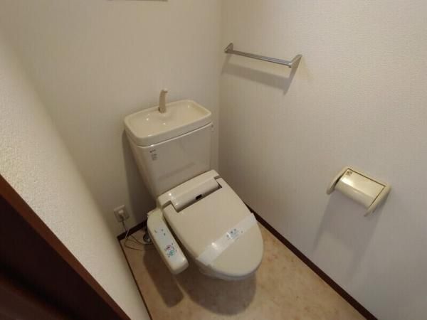 �y�g�C���z�@