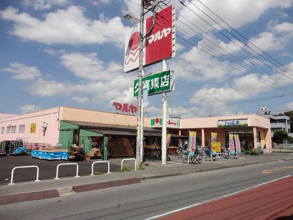 �y���Ӂz�@�}�����v�쓌�X�@�k��12��