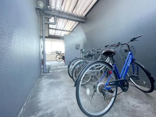 �y���̑����L�����z�@